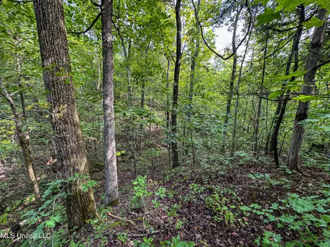 01 Highway 82, Maben, MS 39750 photo 6