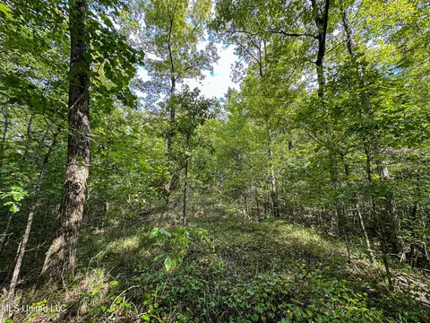 01 Highway 82, Maben, MS 39750 photo 38
