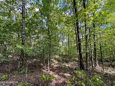 01 Highway 82, Maben, MS 39750 photo 18