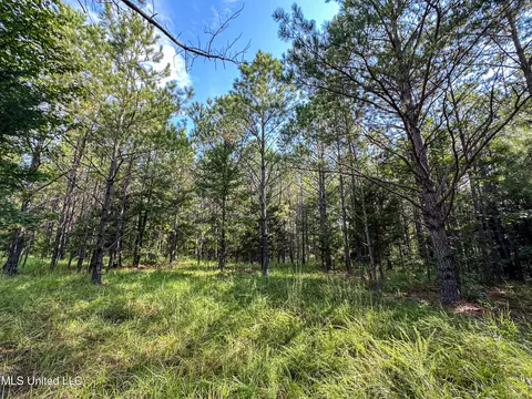 01 Highway 82, Maben, MS 39750 photo 27