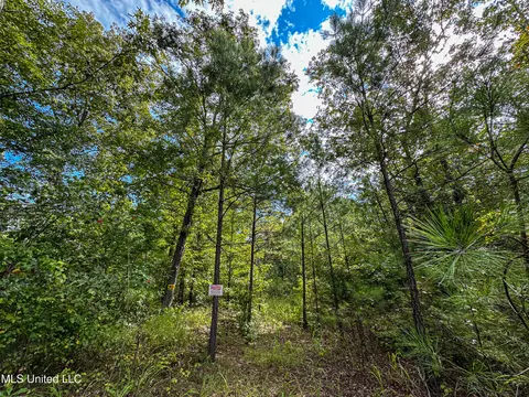 01 Highway 82, Maben, MS 39750 photo 36