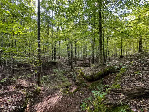 01 Highway 82, Maben, MS 39750 photo 4