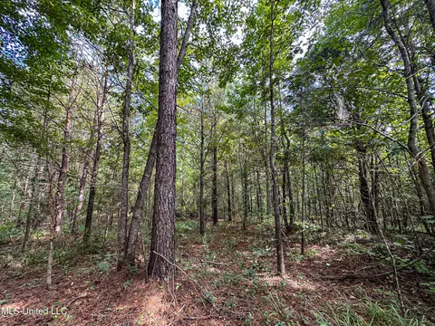 01 Highway 82, Maben, MS 39750 photo 32