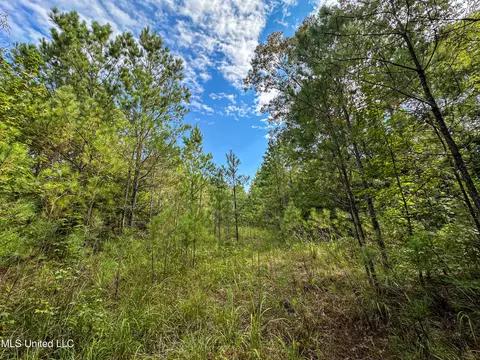 01 Highway 82, Maben, MS 39750 photo 33