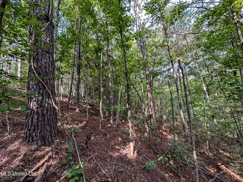 01 Highway 82, Maben, MS 39750 photo 30