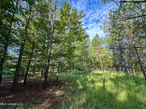 01 Highway 82, Maben, MS 39750 photo 8
