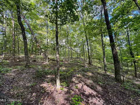 01 Highway 82, Maben, MS 39750 photo 9