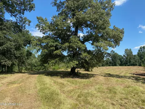 2100 Estes Mill Rd, Walnut Grove, MS 39189