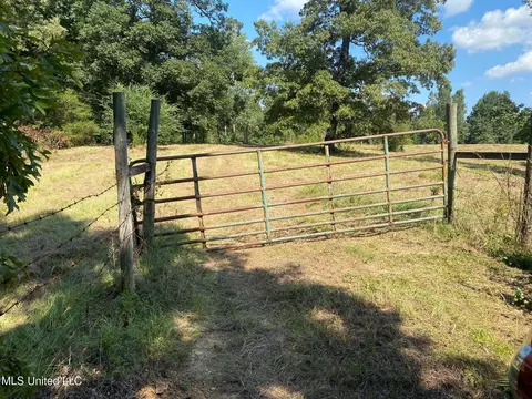 2100 Estes Mill Rd, Walnut Grove, MS 39189 photo 2