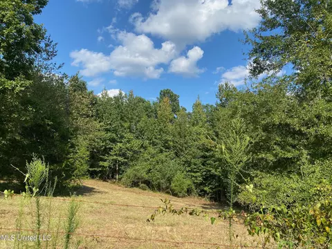 2100 Estes Mill Rd, Walnut Grove, MS 39189 photo 16