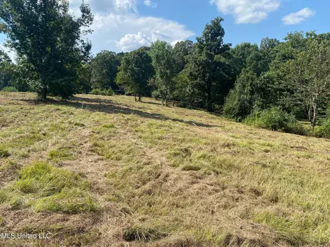 2100 Estes Mill Rd, Walnut Grove, MS 39189 photo 11