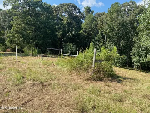 2100 Estes Mill Rd, Walnut Grove, MS 39189 photo 13
