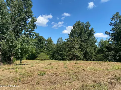 2100 Estes Mill Rd, Walnut Grove, MS 39189 photo 5