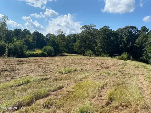 2100 Estes Mill Rd, Walnut Grove, MS 39189 photo 6