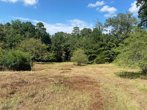 2100 Estes Mill Rd, Walnut Grove, MS 39189 photo 10