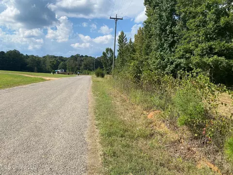 2100 Estes Mill Rd, Walnut Grove, MS 39189 photo 19