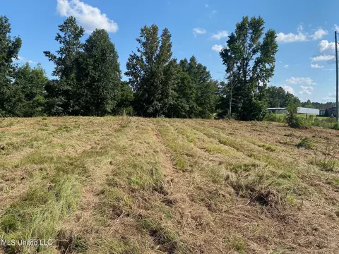 2100 Estes Mill Rd, Walnut Grove, MS 39189 photo 4