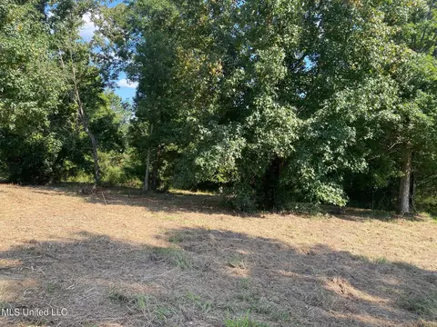 2100 Estes Mill Rd, Walnut Grove, MS 39189 photo 8