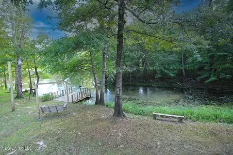 231 Beaver Dam Dr, Lucedale, MS 39452 photo 39