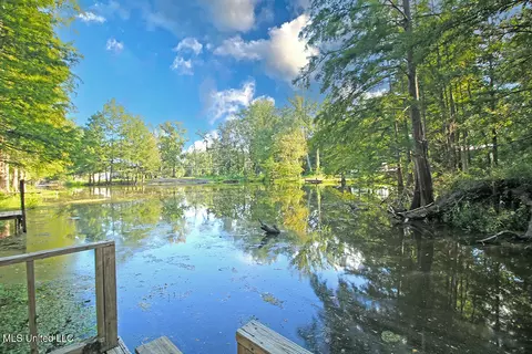 231 Beaver Dam Dr, Lucedale, MS 39452 photo 38