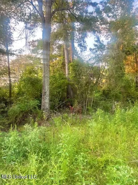 1104 N Jackson St # A, Brookhaven, MS 39601 photo 3