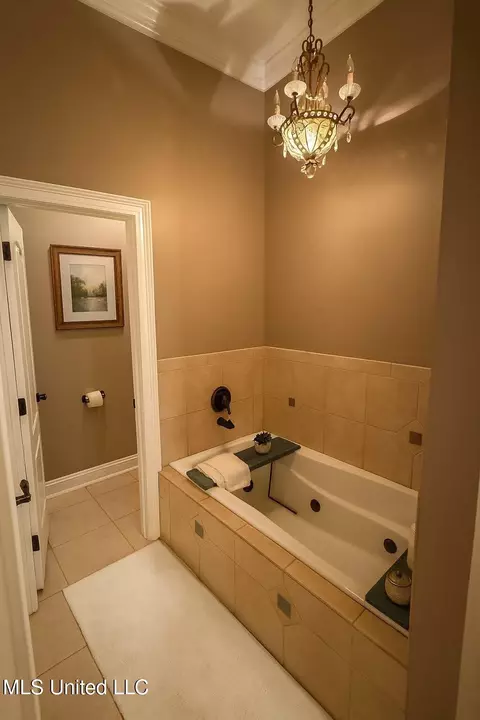 Bath - 101 Cherrybark Ln, Natchez, MS 39120 photo 7 of 9