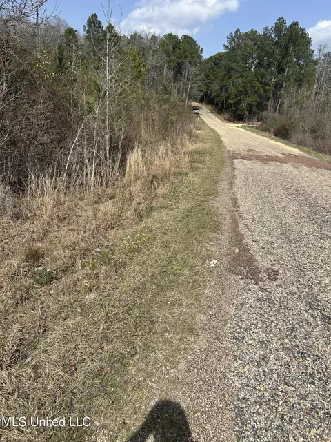 00 Jordan Hill Rd, Carson, MS 39427 photo 7