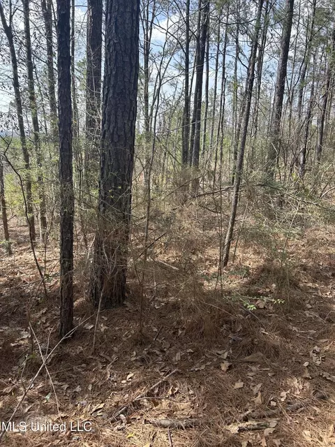 00 Jordan Hill Rd, Carson, MS 39427 photo 9