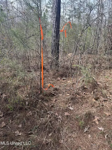 00 Jordan Hill Rd, Carson, MS 39427 photo 8