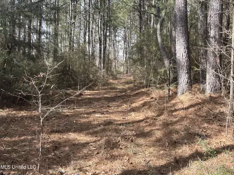 00 Jordan Hill Rd, Carson, MS 39427 photo 11