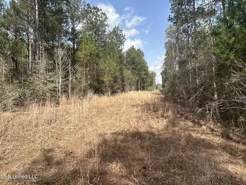 00 Jordan Hill Rd, Carson, MS 39427 photo 6
