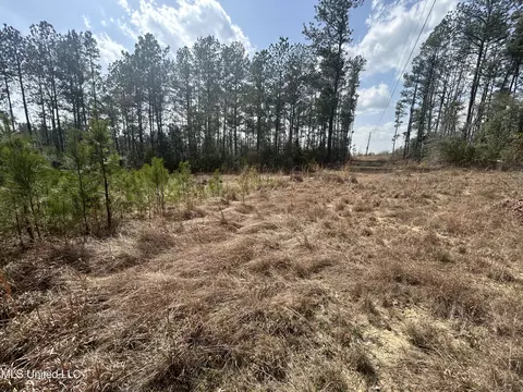 00 Jordan Hill Rd, Carson, MS 39427 photo 3