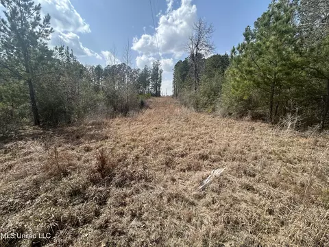 00 Jordan Hill Rd, Carson, MS 39427 photo 4
