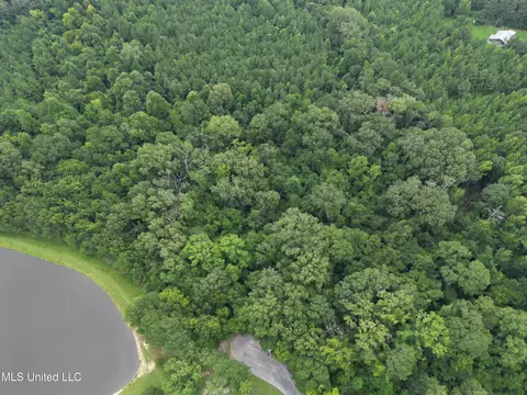 Pine Lake, Terry, MS 39170