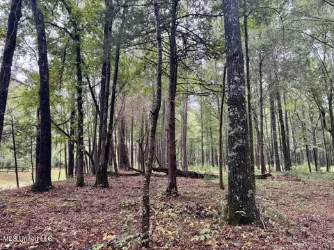Robinson Road, Canton, MS 39046 photo 5