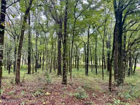 Robinson Road, Canton, MS 39046 photo 2