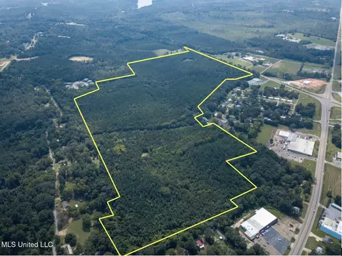 Ms-13, Morton, MS 39117 photo 6
