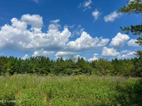 Ms-13, Morton, MS 39117 photo 11