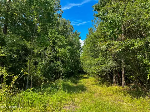 Ms-13, Morton, MS 39117 photo 25