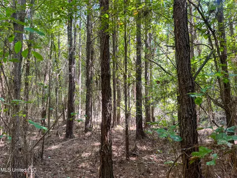 Ms-13, Morton, MS 39117 photo 18
