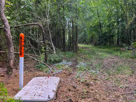 Ms-13, Morton, MS 39117 photo 37