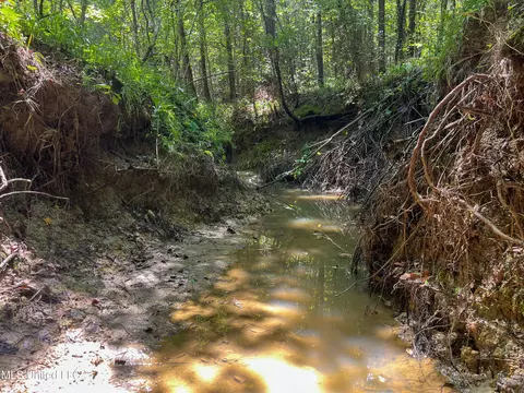 Ms-13, Morton, MS 39117 photo 17