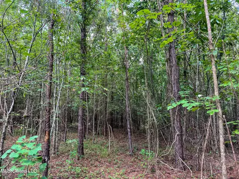 Ms-13, Morton, MS 39117 photo 33