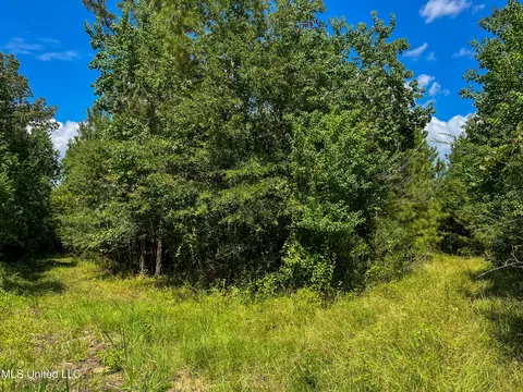 Ms-13, Morton, MS 39117 photo 20