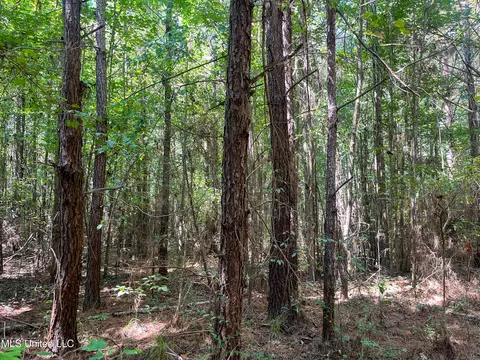Ms-13, Morton, MS 39117 photo 30