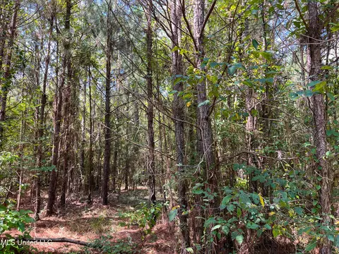 Ms-13, Morton, MS 39117 photo 26