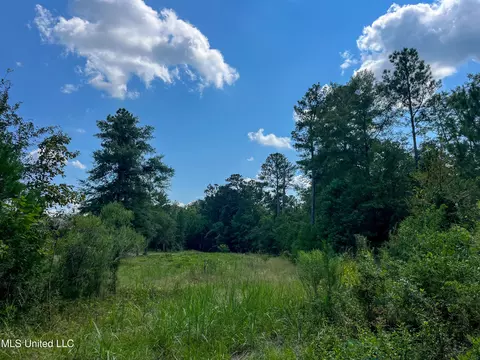 Ms-13, Morton, MS 39117 photo 21