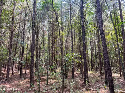 Ms-13, Morton, MS 39117 photo 32