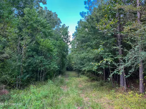 Ms-13, Morton, MS 39117 photo 36