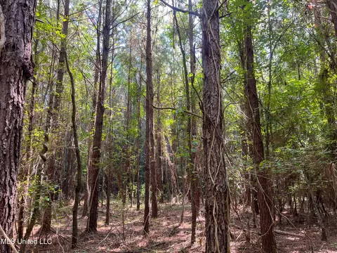 Ms-13, Morton, MS 39117 photo 27